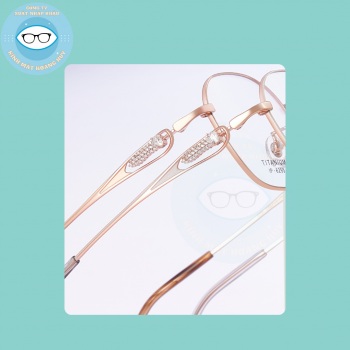 Gọng kim loại mã 6295